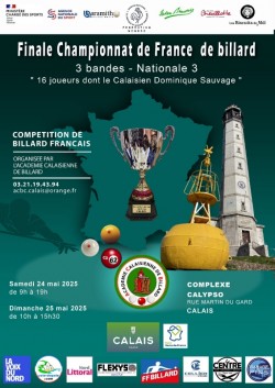Carambole - championnat de France 3 bandes nationale 3